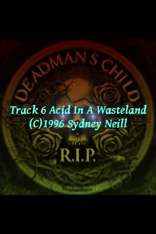 Track 6 Acid In A Wasteland